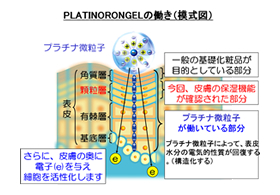 �}�FPLATINORON GEL�̓����i�͎��}�j