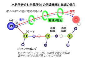 �}�F�����q������d�q(e)�̓`�B�@�\�ƒn��̔���